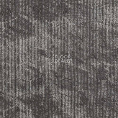 Ковровая плитка Balance Spectrum Balance Spectrum 01 фото 1 | FLOORDEALER